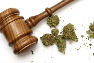 Plans for a new ‘marijuana court’ advance in Broward; addressing racial disparity in arrests