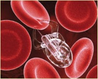 Nanotechnology: Harmful or benign?