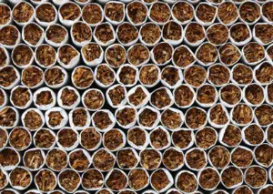 Protest by tobacco state politicians, business groups may snuff out Obama trade move