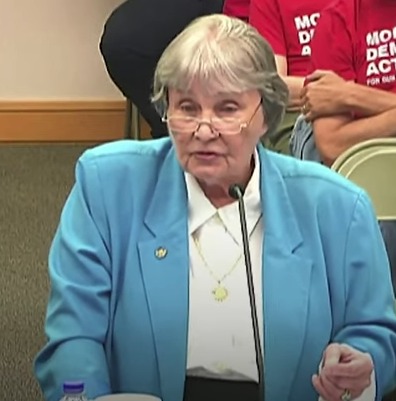Pretzel logic, NRA lobbyist Marion Hammer and the Florida Commission on Ethics