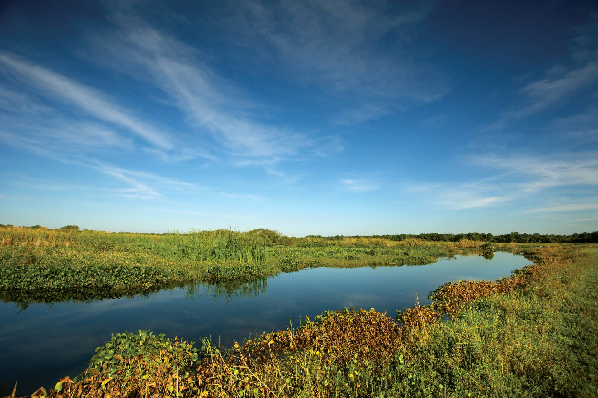 Ex-Everglades Foundation chief scientist Van Lent guilty of contempt, faces up to 1 year in county jail