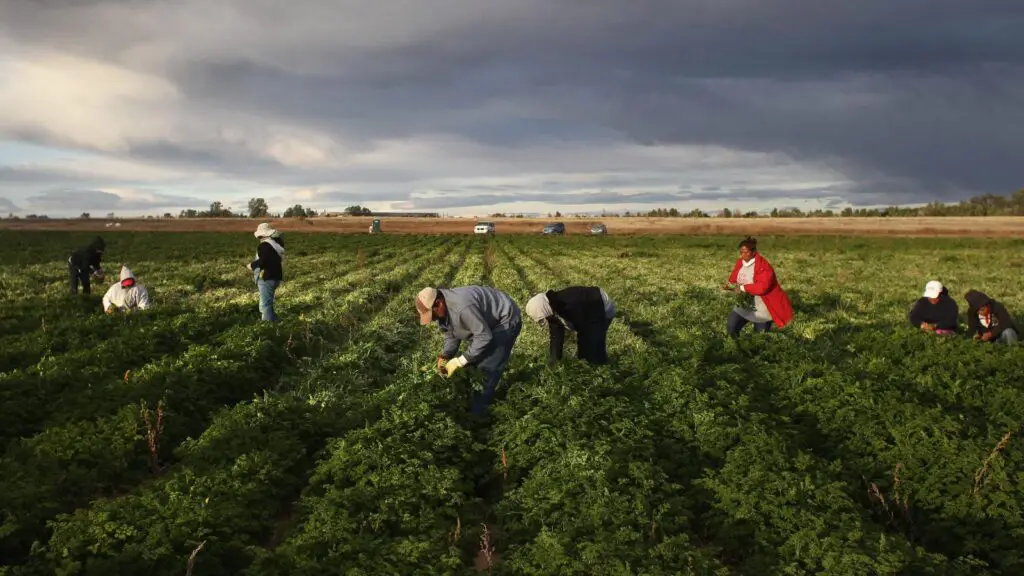 farmworkers