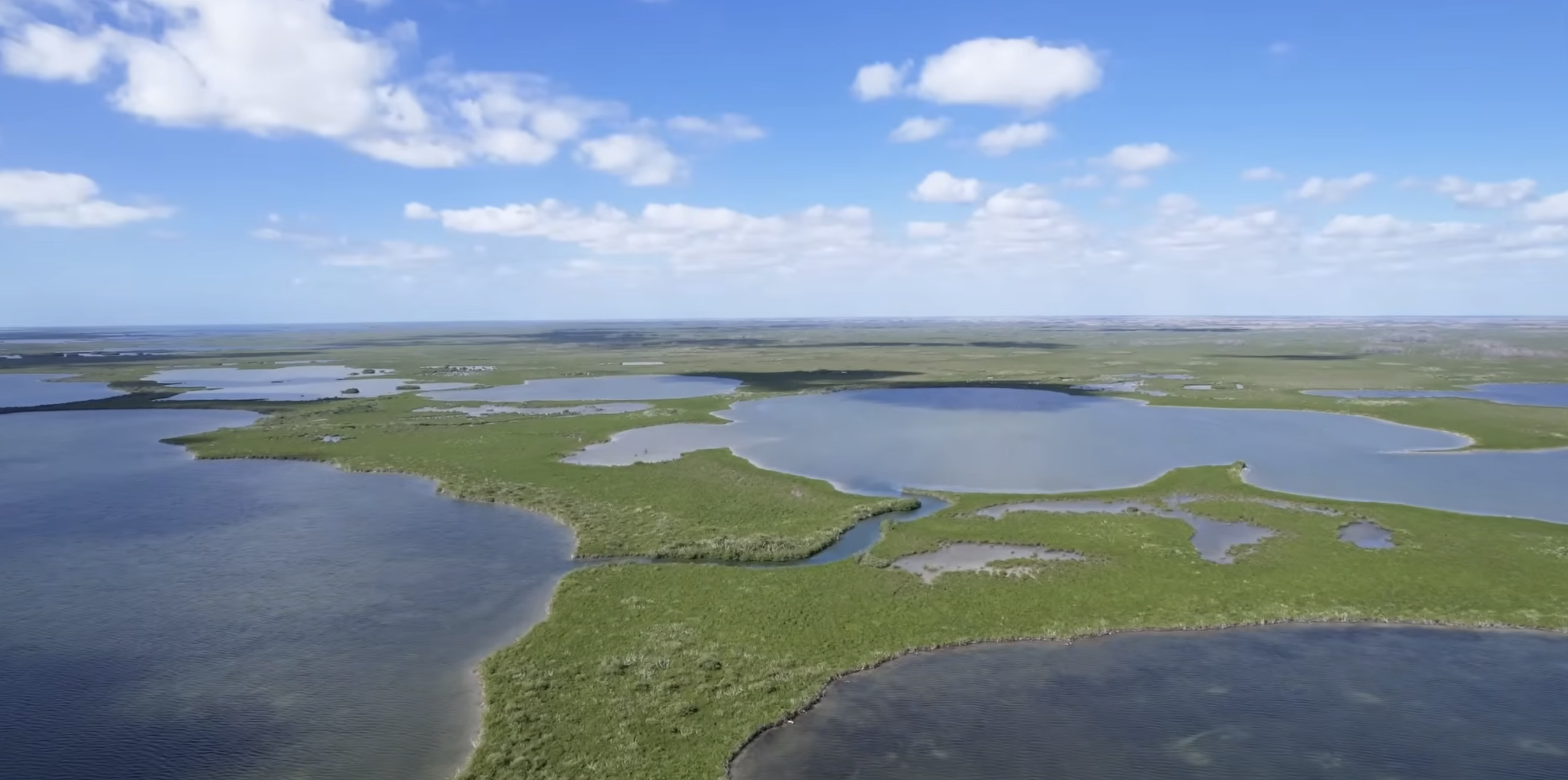 Everglades phosphorus pollution deadlines have finally arrived. Can Florida meet them?